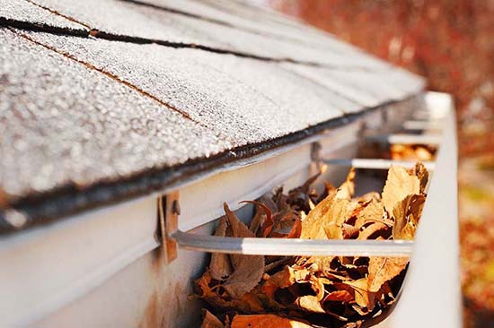 gutter filled with dirt and leaves